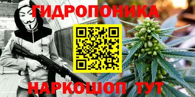 шишки Рыбинск