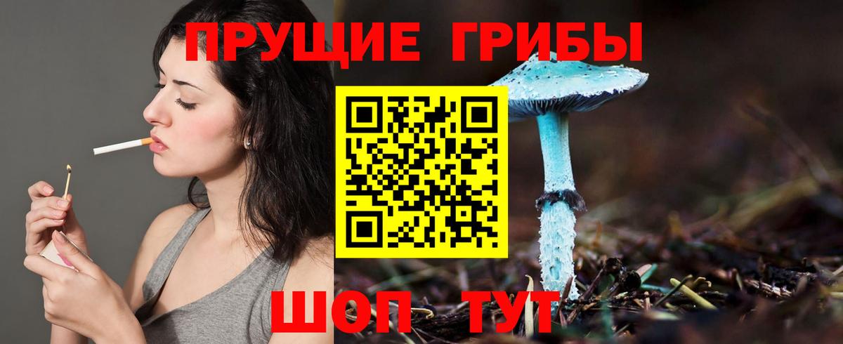 Галлюциногенные грибы Psilocybine cubensis  Вход с VPN  Можга  Псилоцибиновые грибы мухоморы 